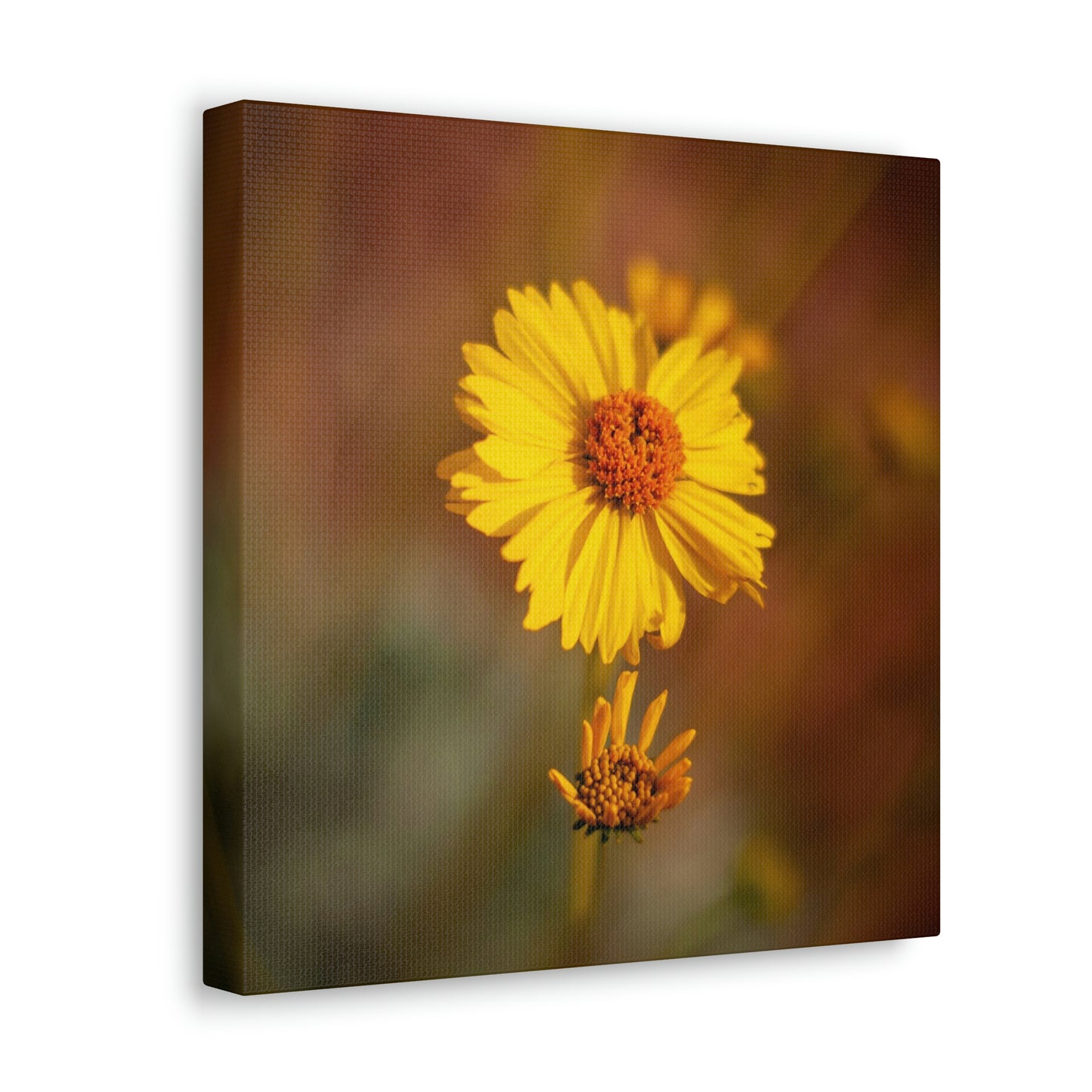 Yellow Wildflower Canvas 3