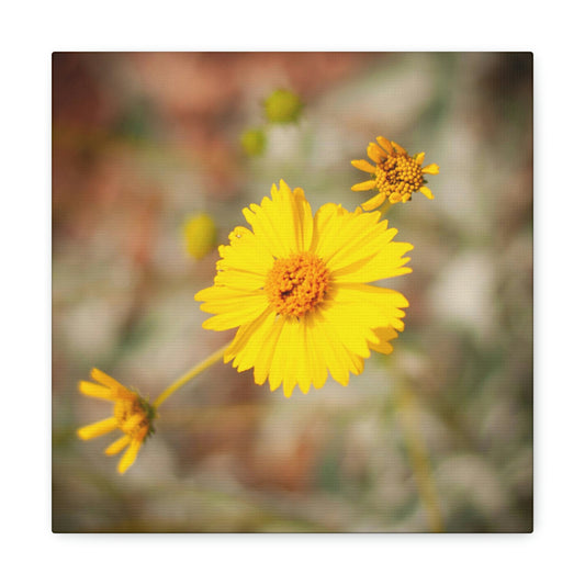 Yellow Wildflower Canvas 2