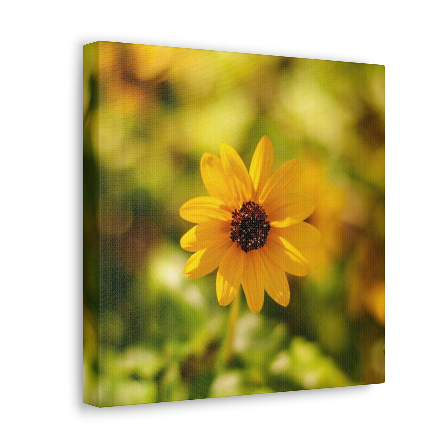 Wildflower Canvas Gallery Wrap