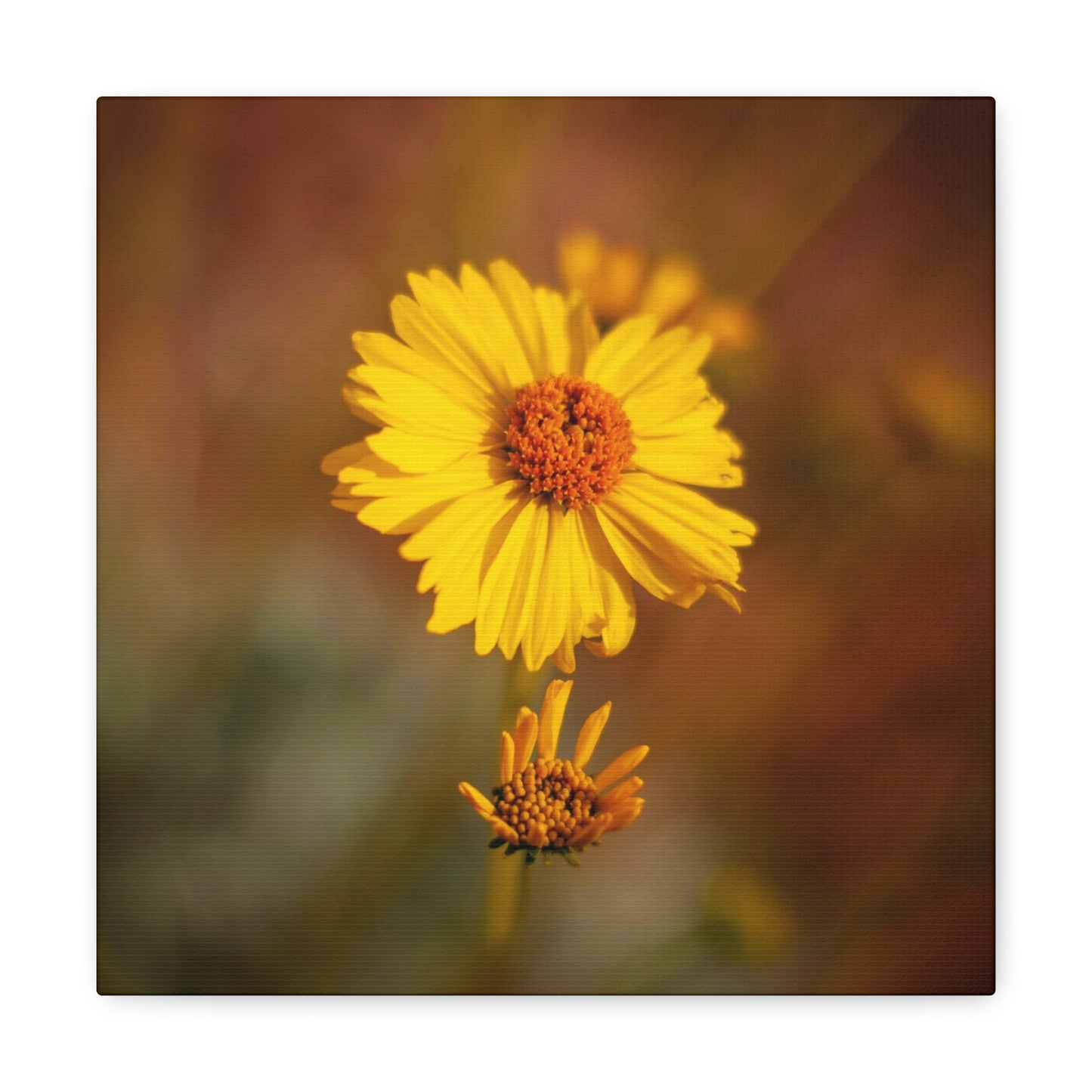 Yellow Wildflower Canvas 3