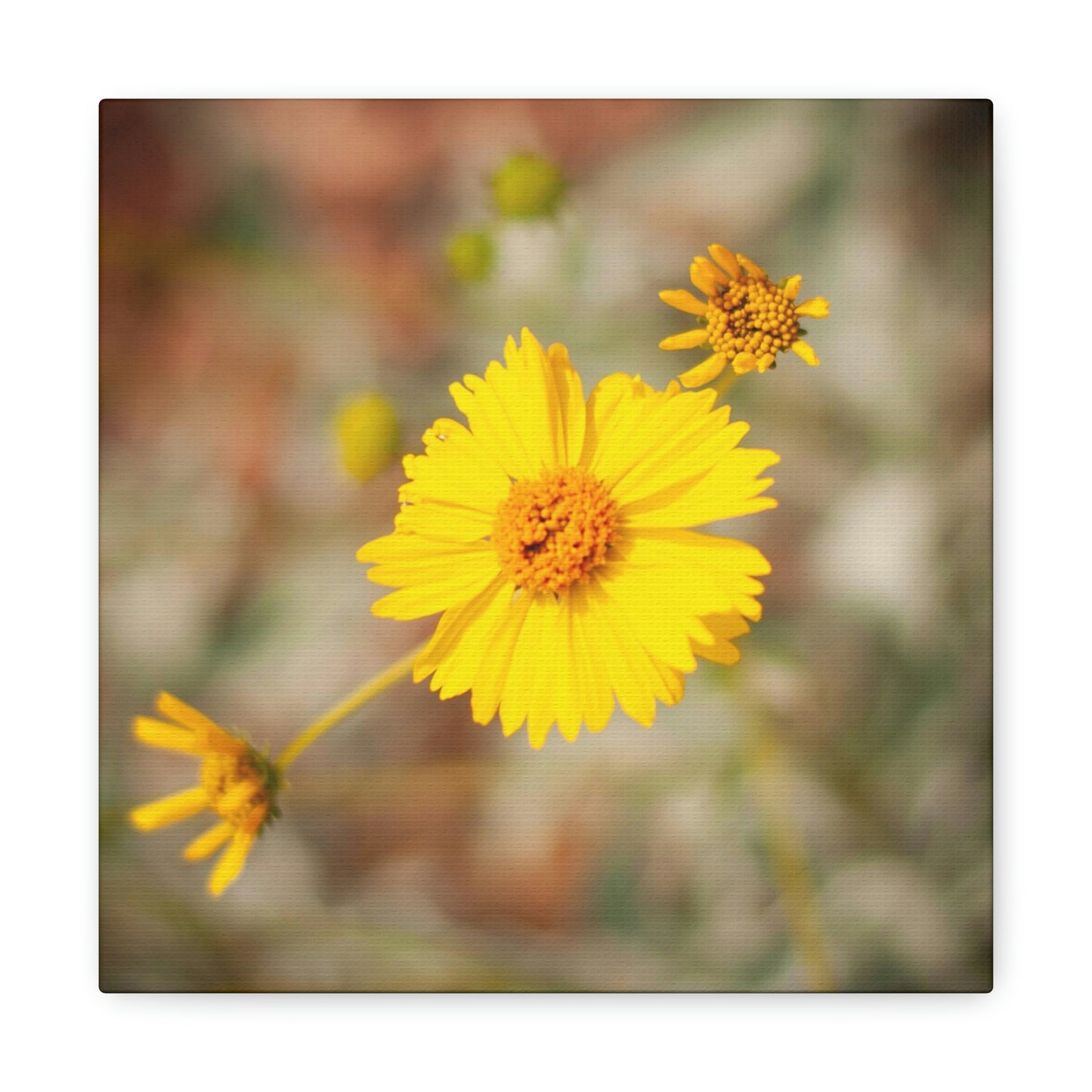 Yellow Wildflower Canvas 2