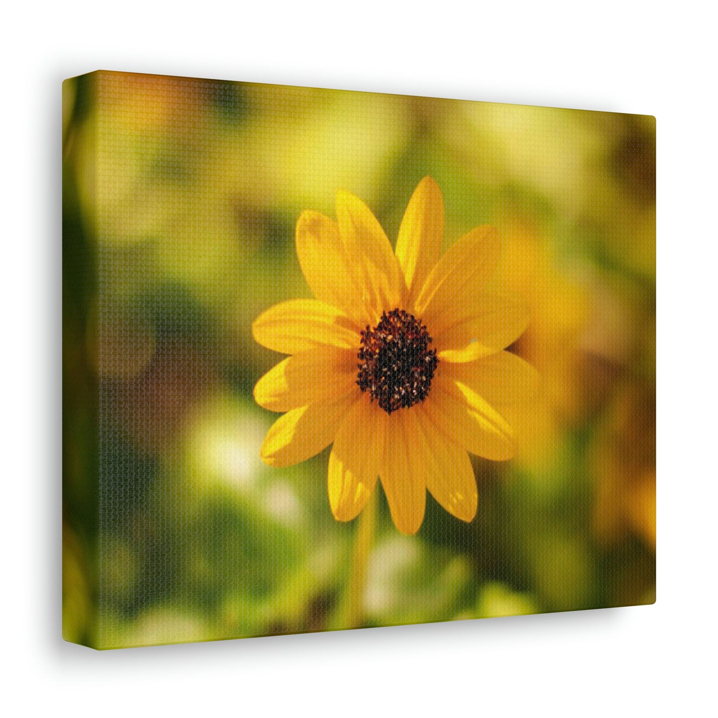 Wildflower Canvas Gallery Wrap