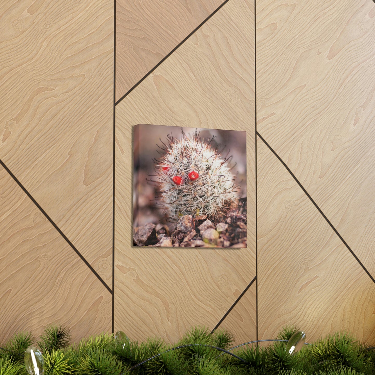 Barrel Cactus Canvas