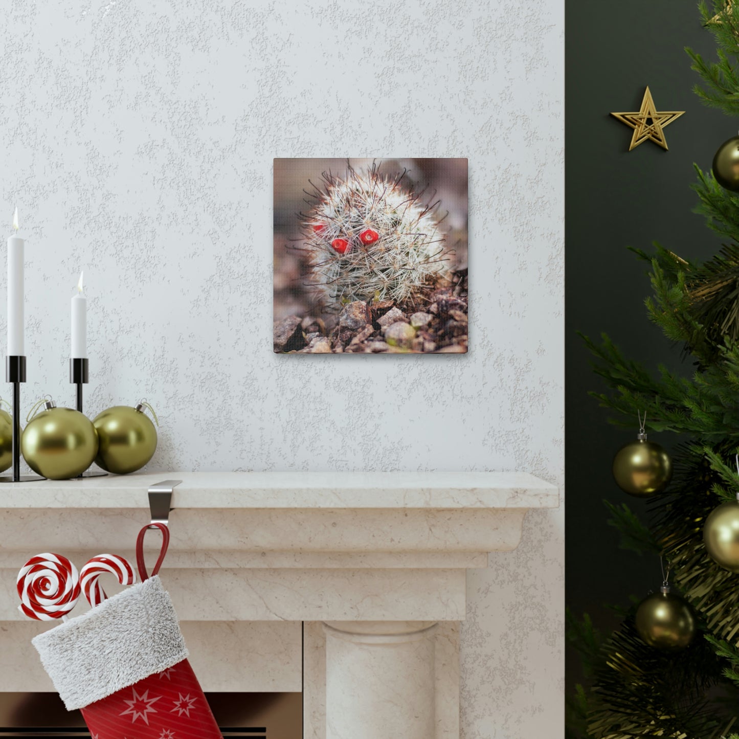 Barrel Cactus Canvas