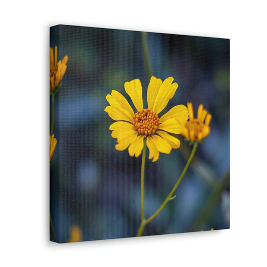 Yellow Wildflower Canvas 1