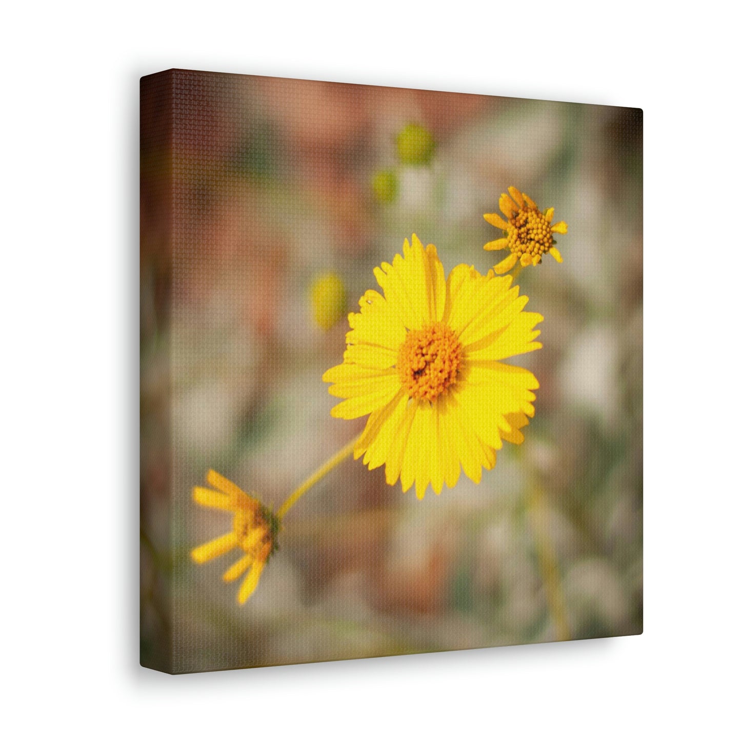 Yellow Wildflower Canvas 2