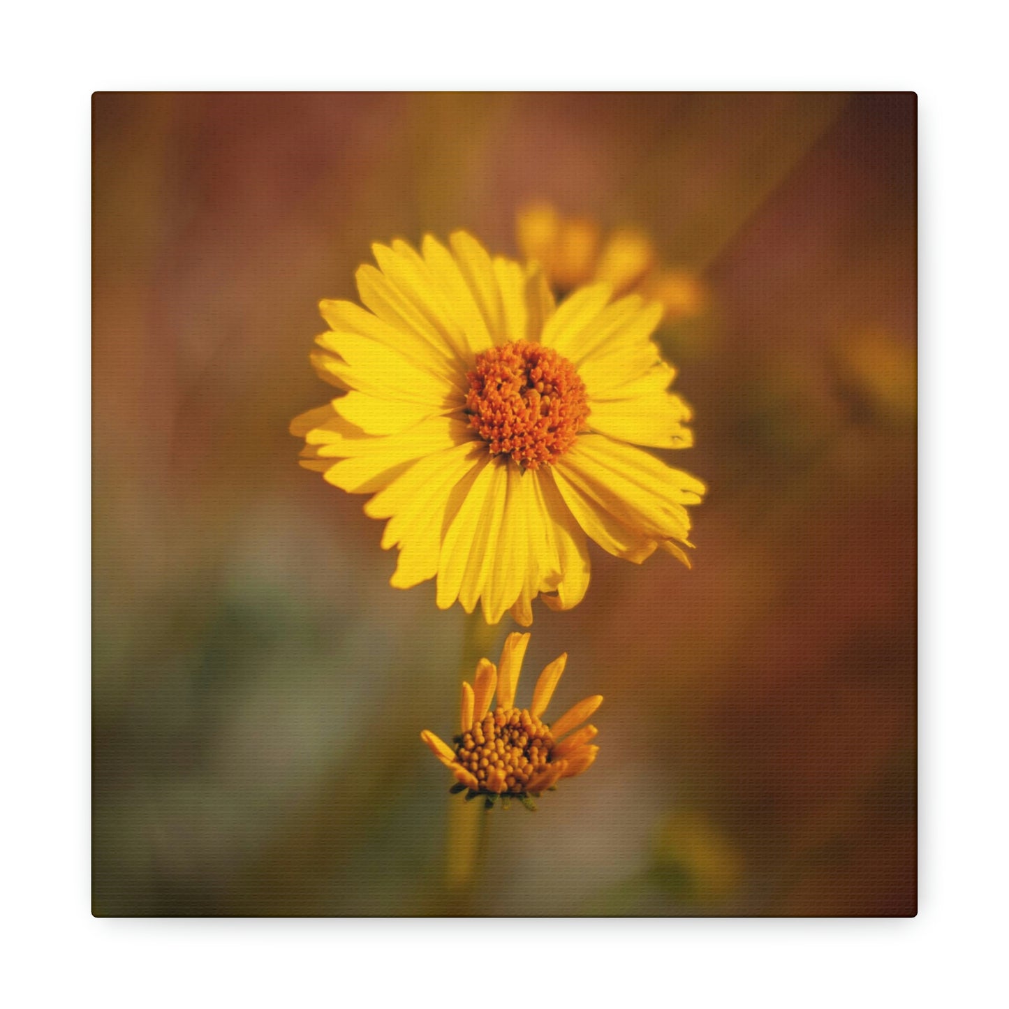 Yellow Wildflower Canvas 3