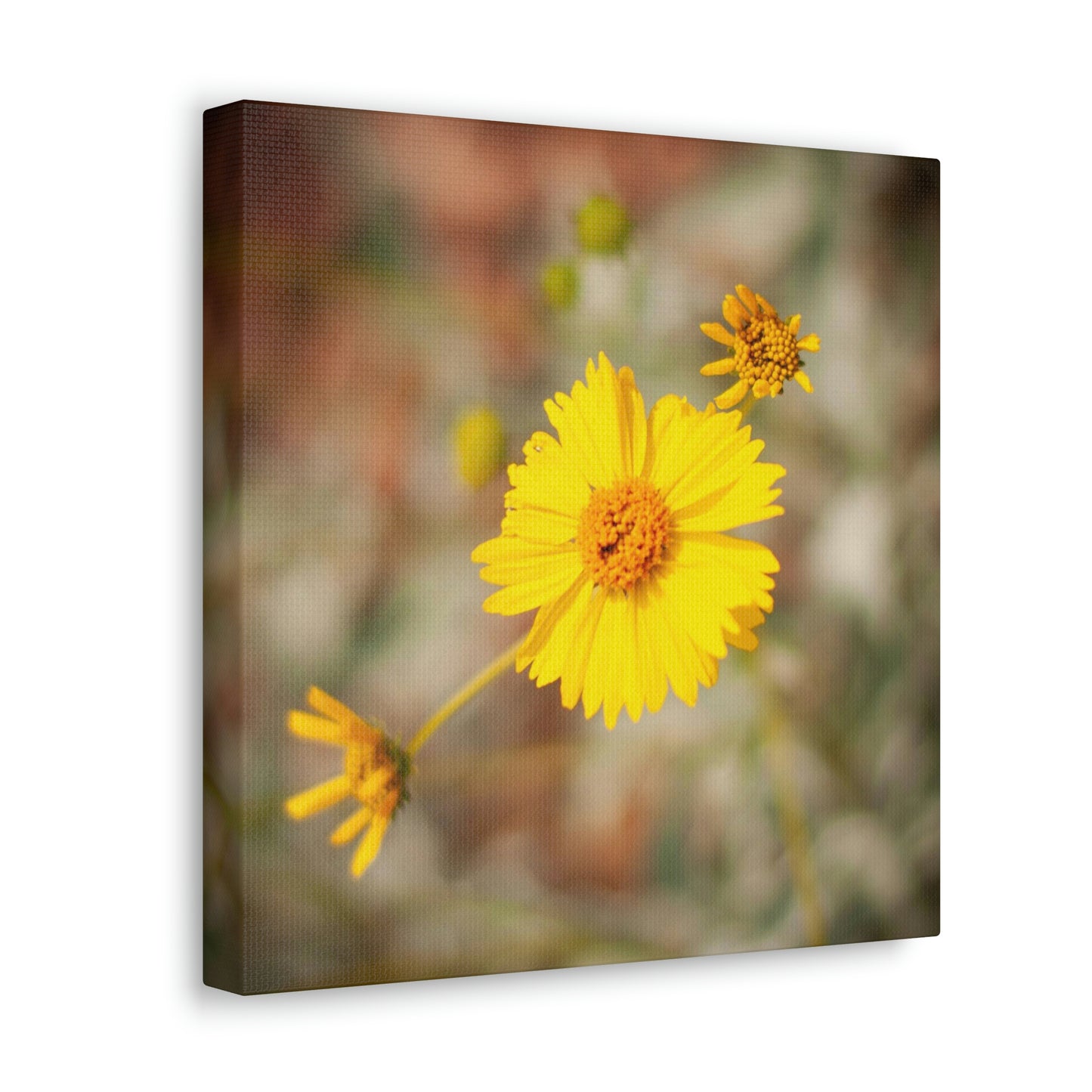 Yellow Wildflower Canvas 2